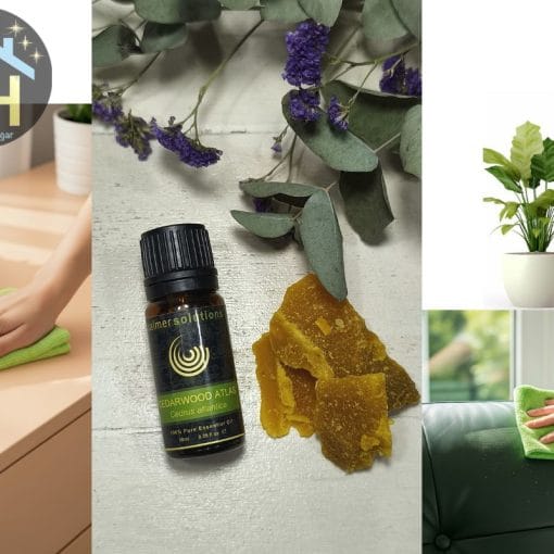 Guía para Limpiar y Proteger tus Muebles | Trucos y Recetas Caseras