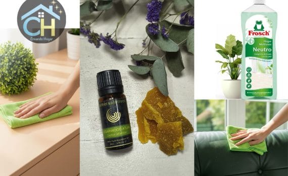 Guía para Limpiar y Proteger tus Muebles | Trucos y Recetas Caseras