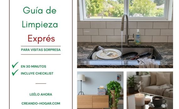 Guía de limpieza exprés en 30 minutos.